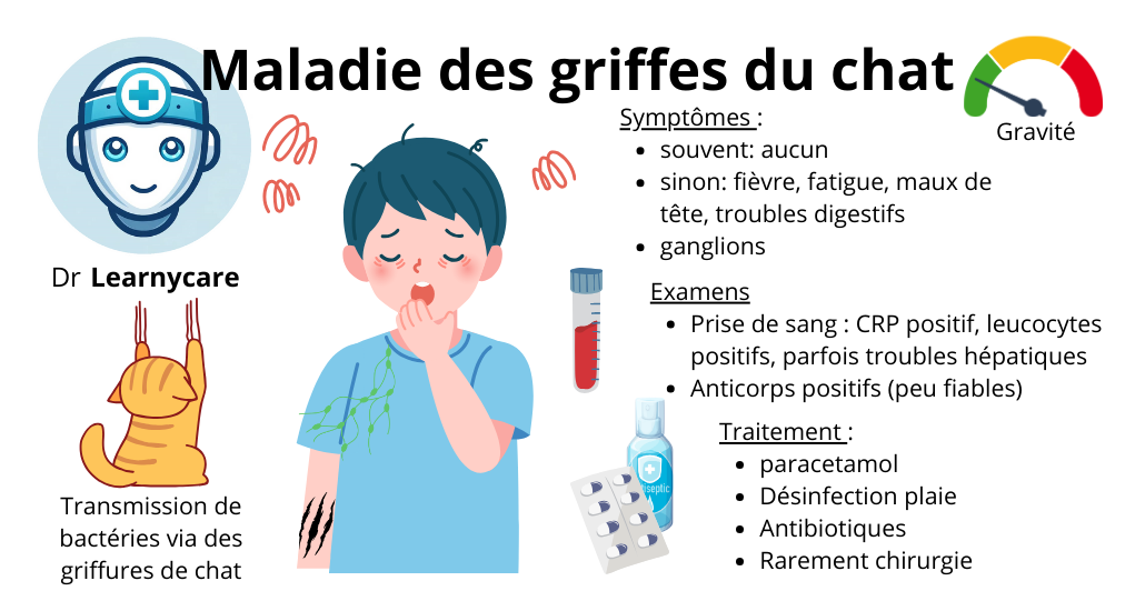 Maladie des griffes du chat infographie Dr Learnycare