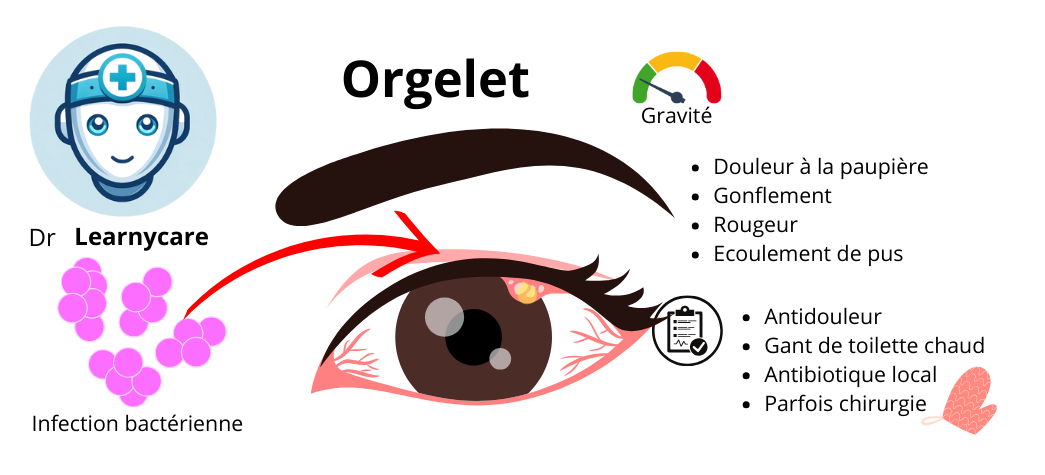 Orgelet infographie Dr Learnycare