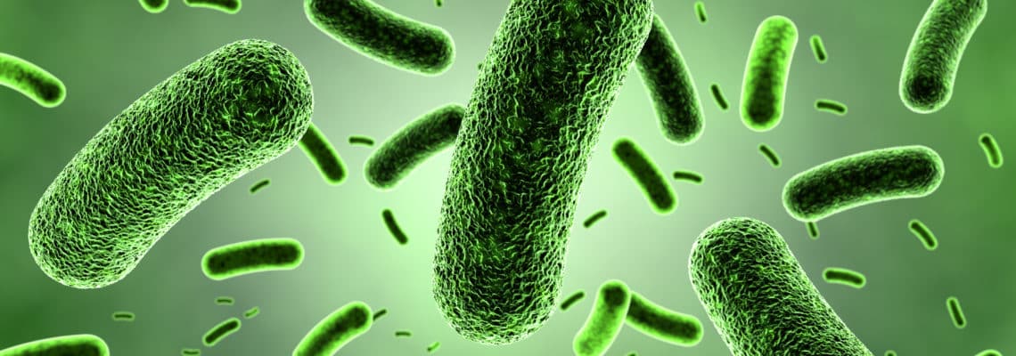 Malabsorption par pullulation bactérienne