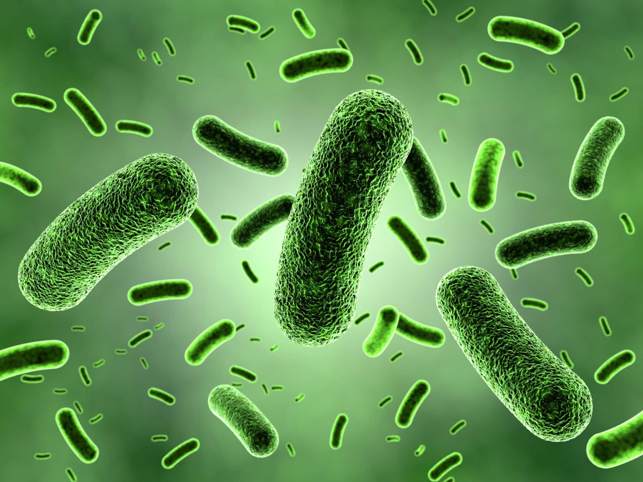 Malabsorption par pullulation bactérienne