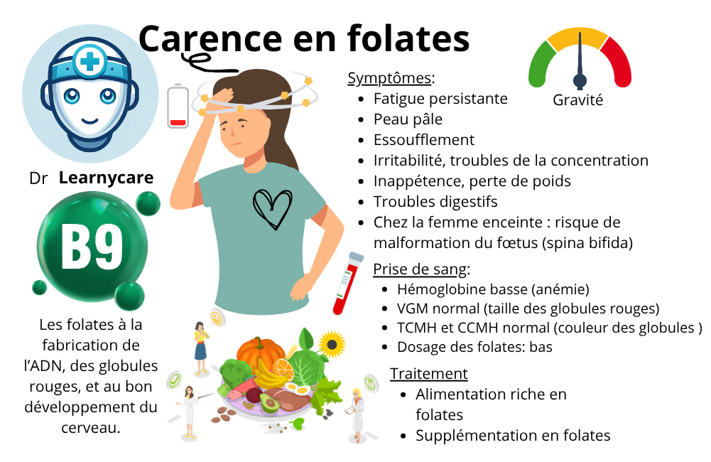 Carence en folates infographie Dr Learnycare