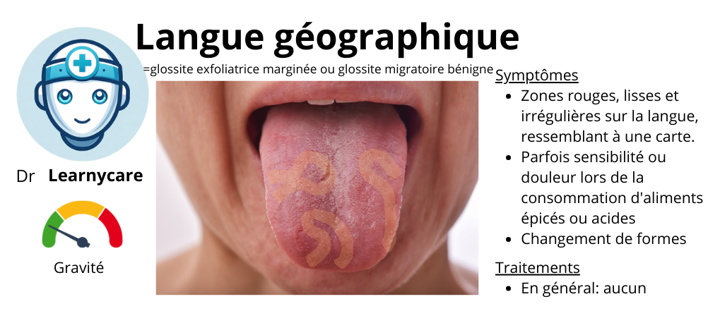 Langue géographique infographie Dr Learnycare
