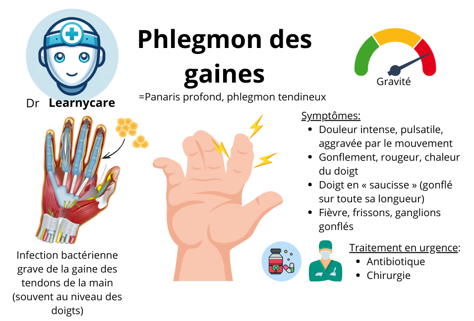 Phlegmon des gaines infographie Dr Learnycare
