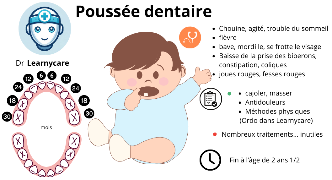 Poussée dentaire infographie