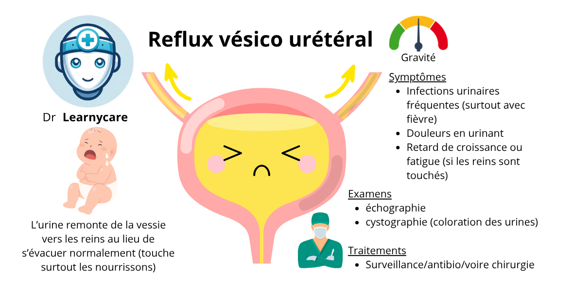 Refux vésico urétéral (vésical) infographie Dr Learnycare