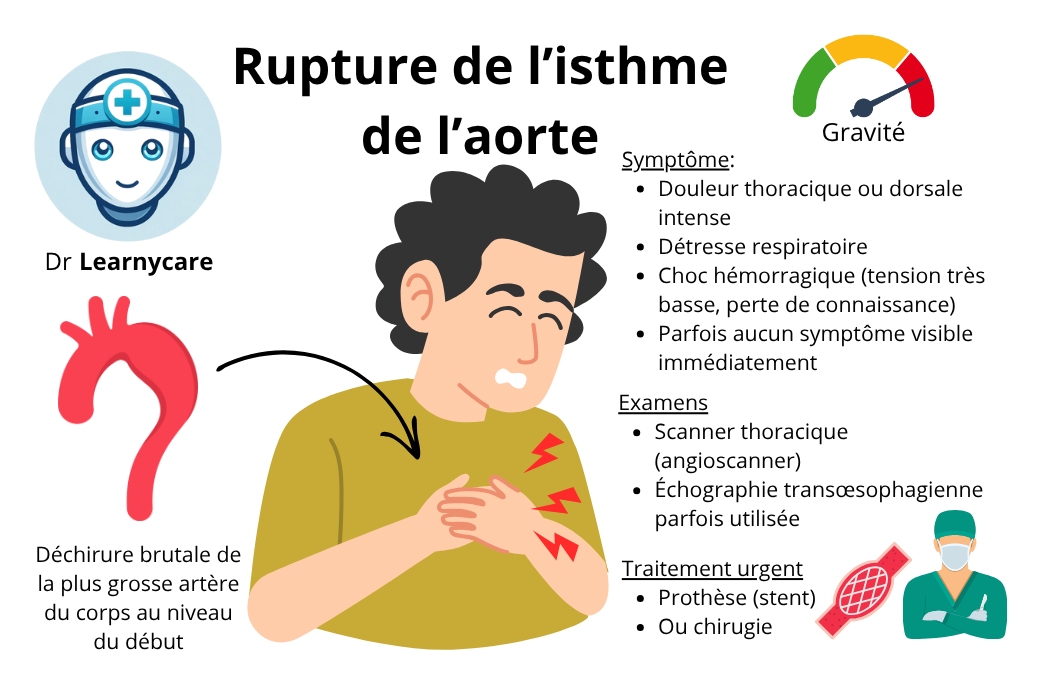 Rupture de l'isthme de l'aorte infographie Dr Learnycare