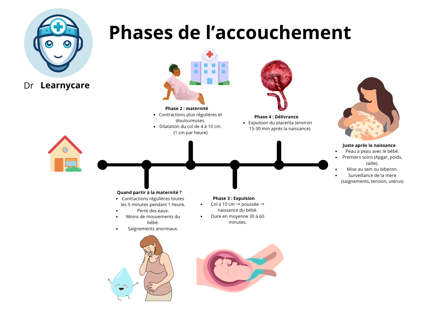 Phases de l'accouchement infographie Dr Learnycare