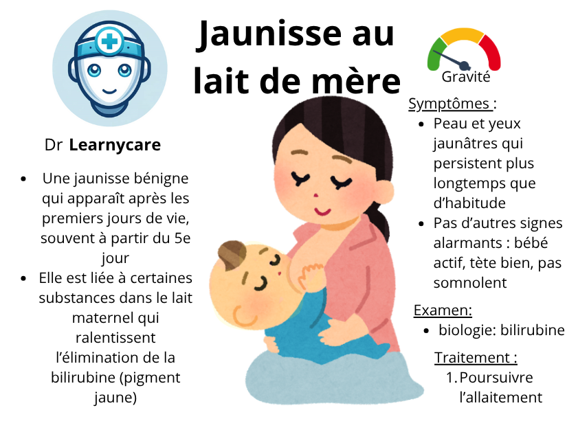 Jaunisse au lait de mère infographie Dr Learnycare
