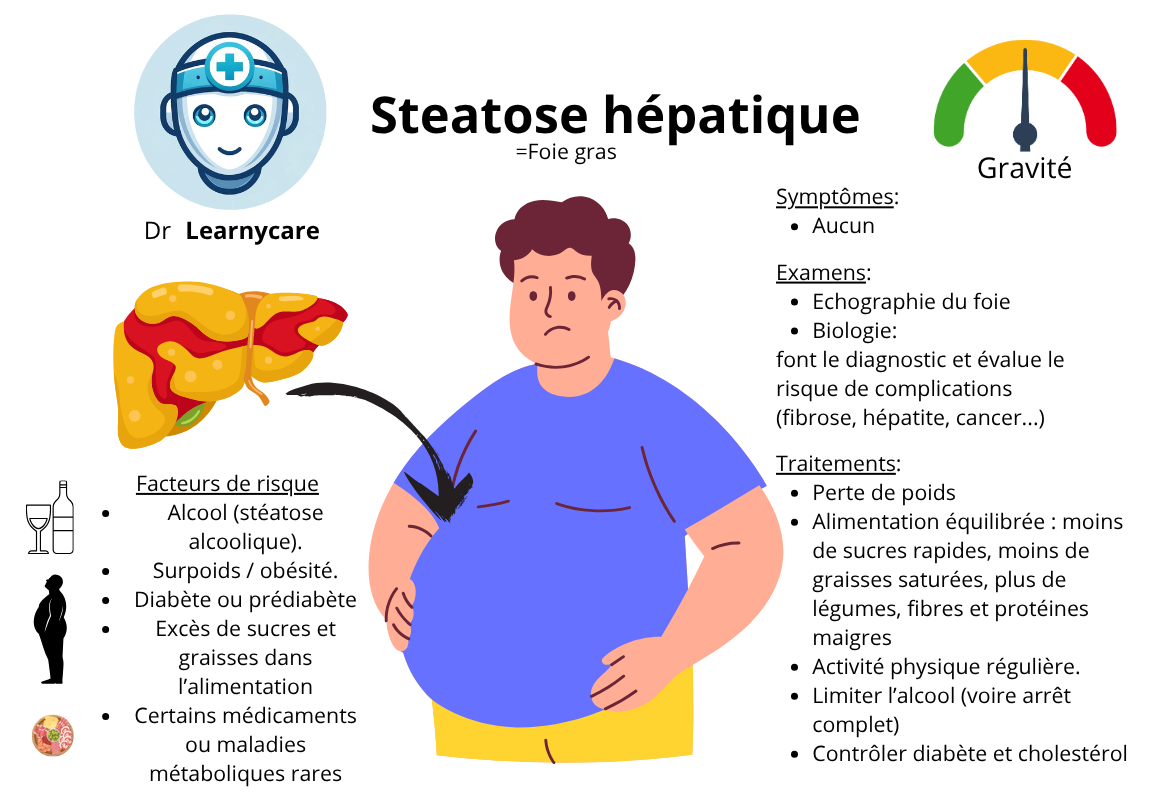 Steatose hépatique infographie Dr Learnycare