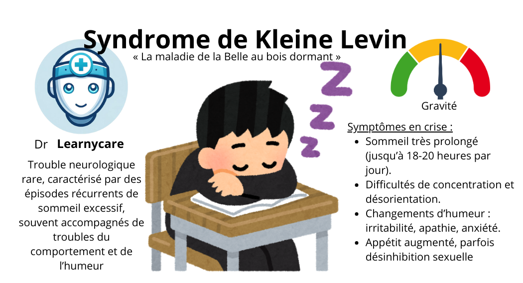 Syndrome de Kleine Levin infographie Dr Learnycare