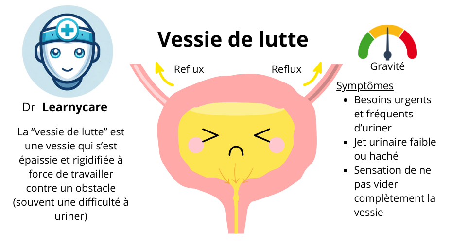 Vessie de lutte infographie Dr Learnycare