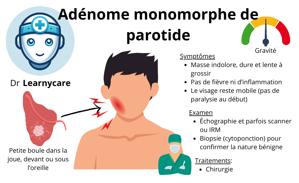 Adénome (monomorphe) de parotide infographie Dr Learnycare