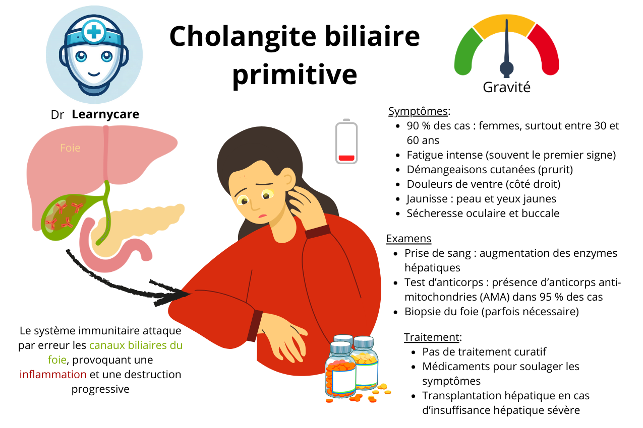 Cholangite biliaire primitive infographie Dr Learnycare