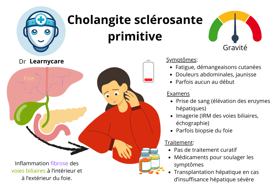 Cholangite sclérosante primitive infographie Dr Learnycare