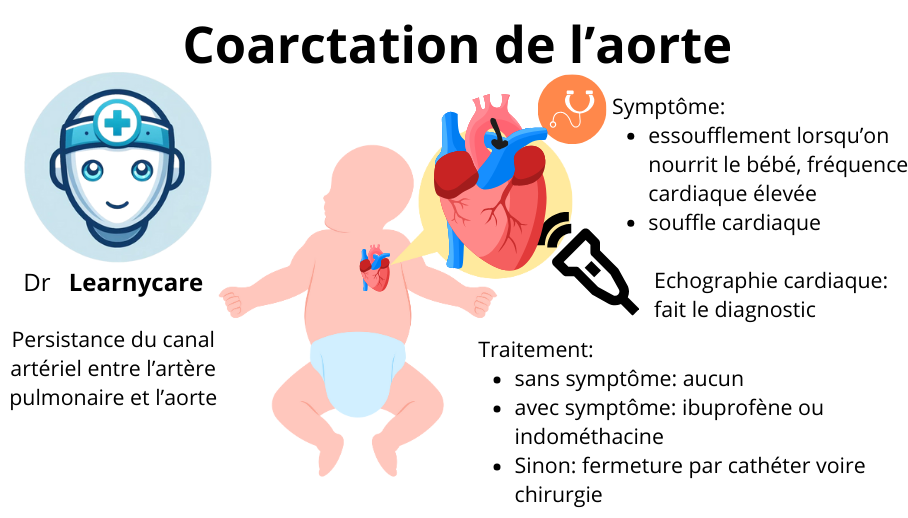 Coarctation de l'aorte infographie