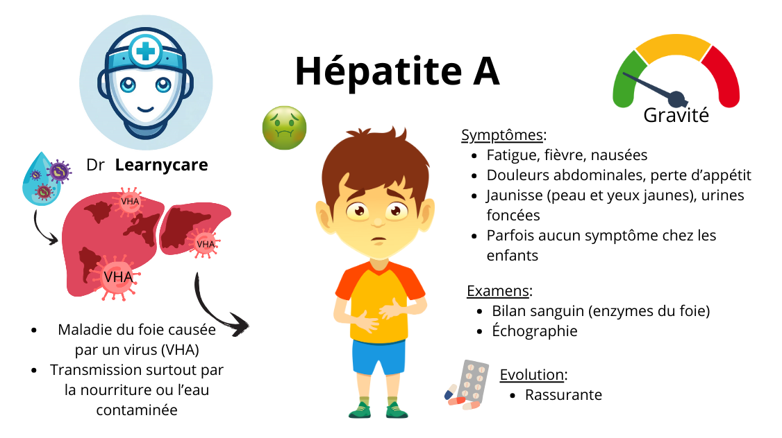 Hépatite A infographie Dr Learnycare