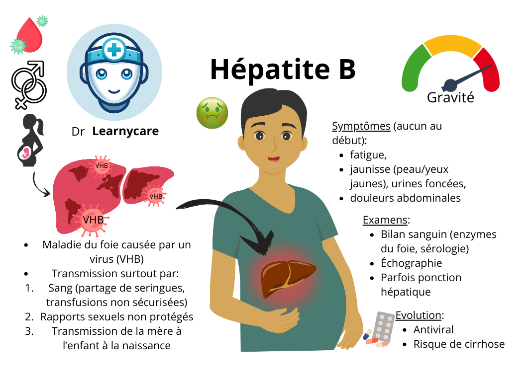 Hépatite B infographie Dr Learnycare