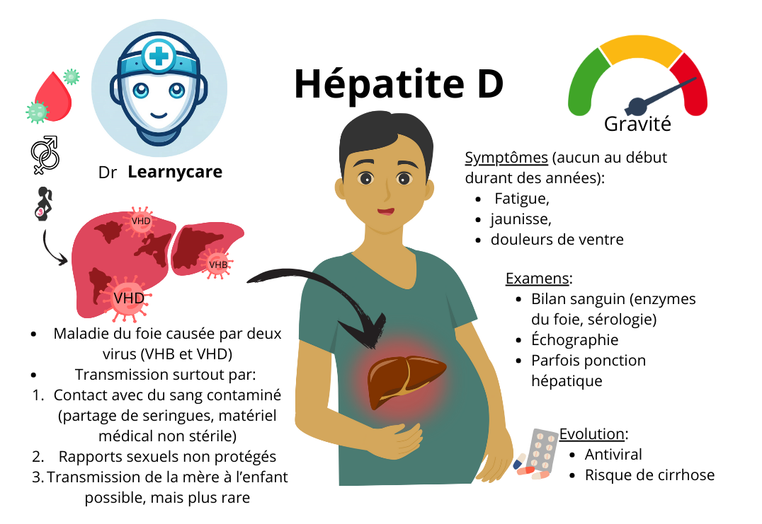 Hépatite D infographie Dr Learnycare