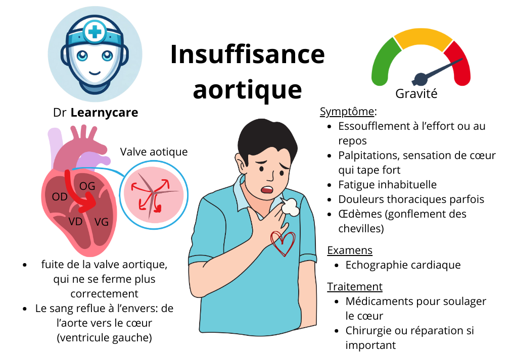 Insuffisance aortique infographie Dr Learnycare