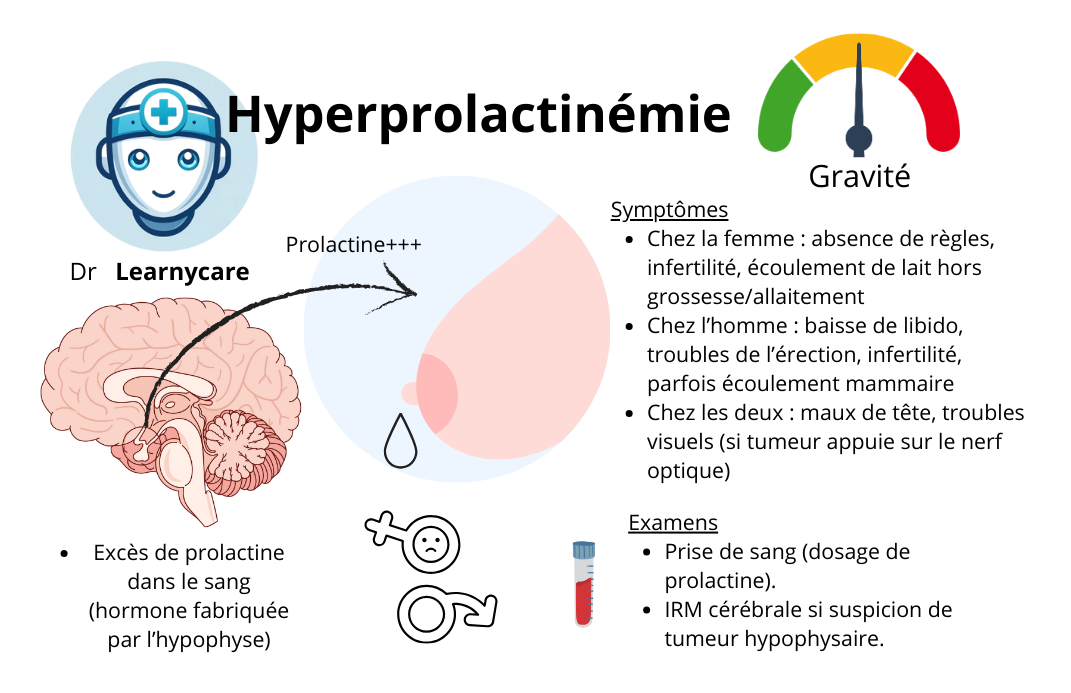 Hyperprolactinémie infographie Dr Learnycare