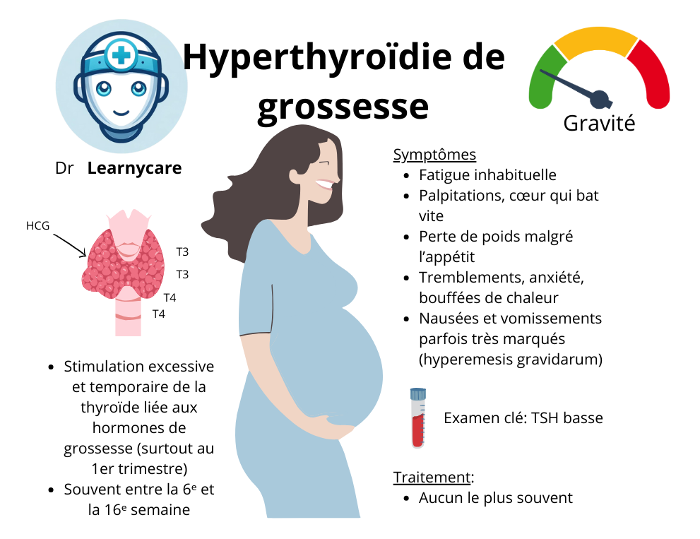 Hyperthyroïdie de grossesse infographie Dr Learnycare