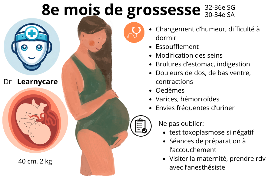 8e mois de grossesse infographie