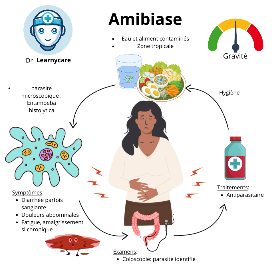 Amibiase infographie Dr Learnycare