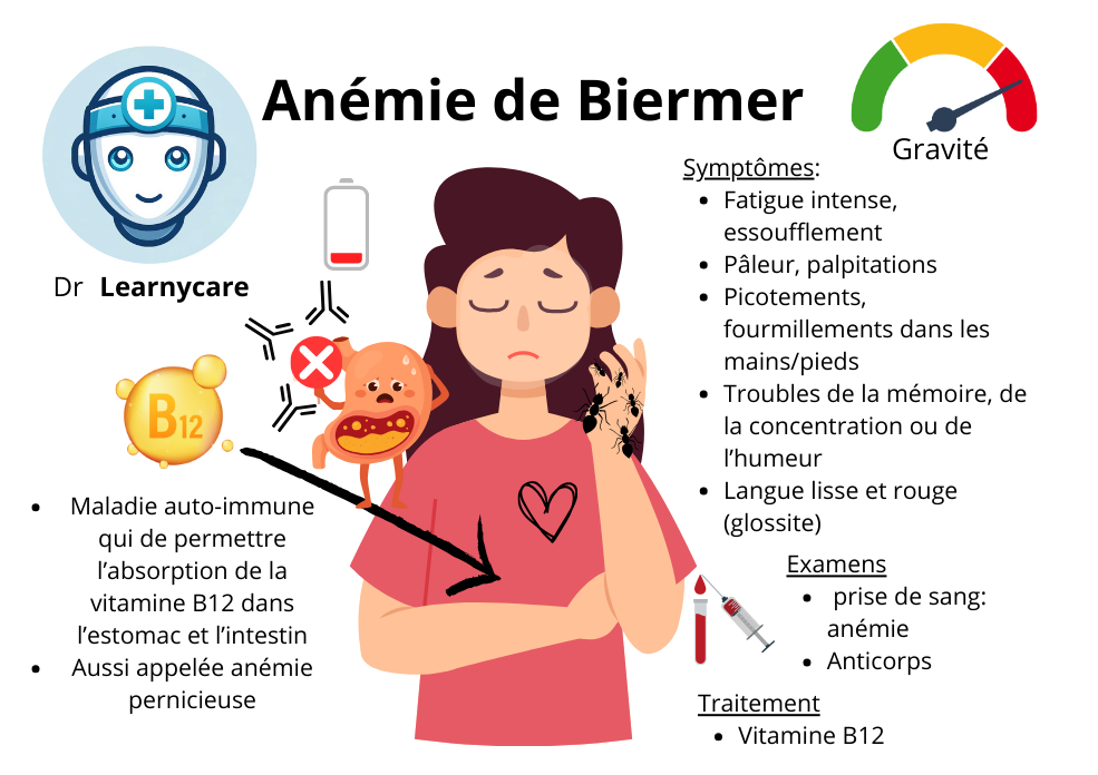 Anémie de Biermer infographie Dr Learnycare