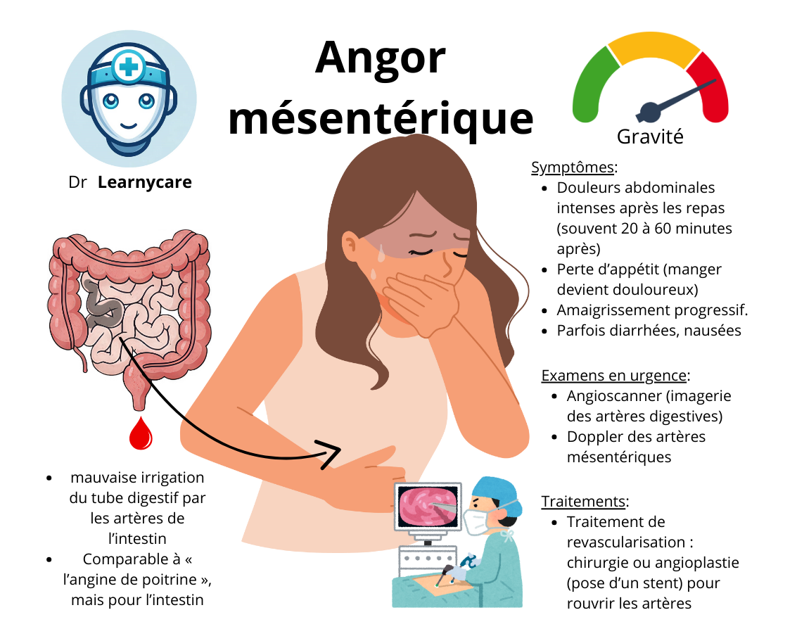 Angor mésentérique infographie Dr Learnycare