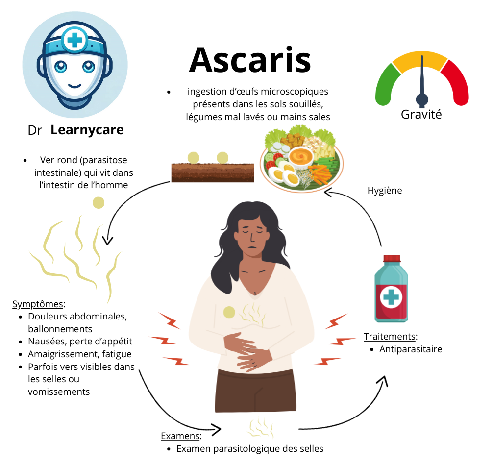 Ascaris infographie Dr Learnycare