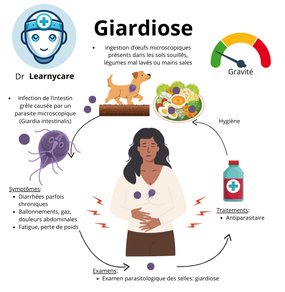 Giardiose infographie Dr Learnycare