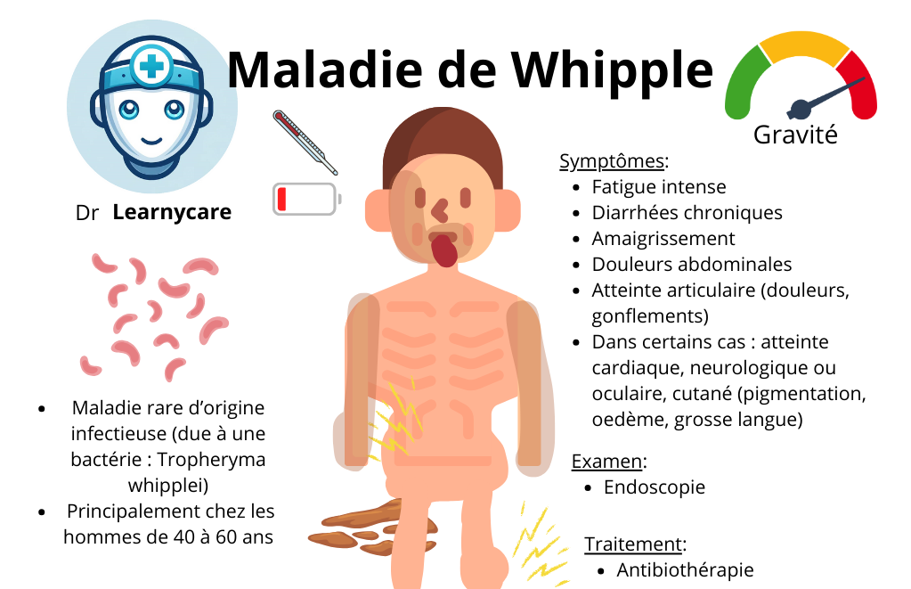 Maladie de Whipple infographie Dr Learnycare