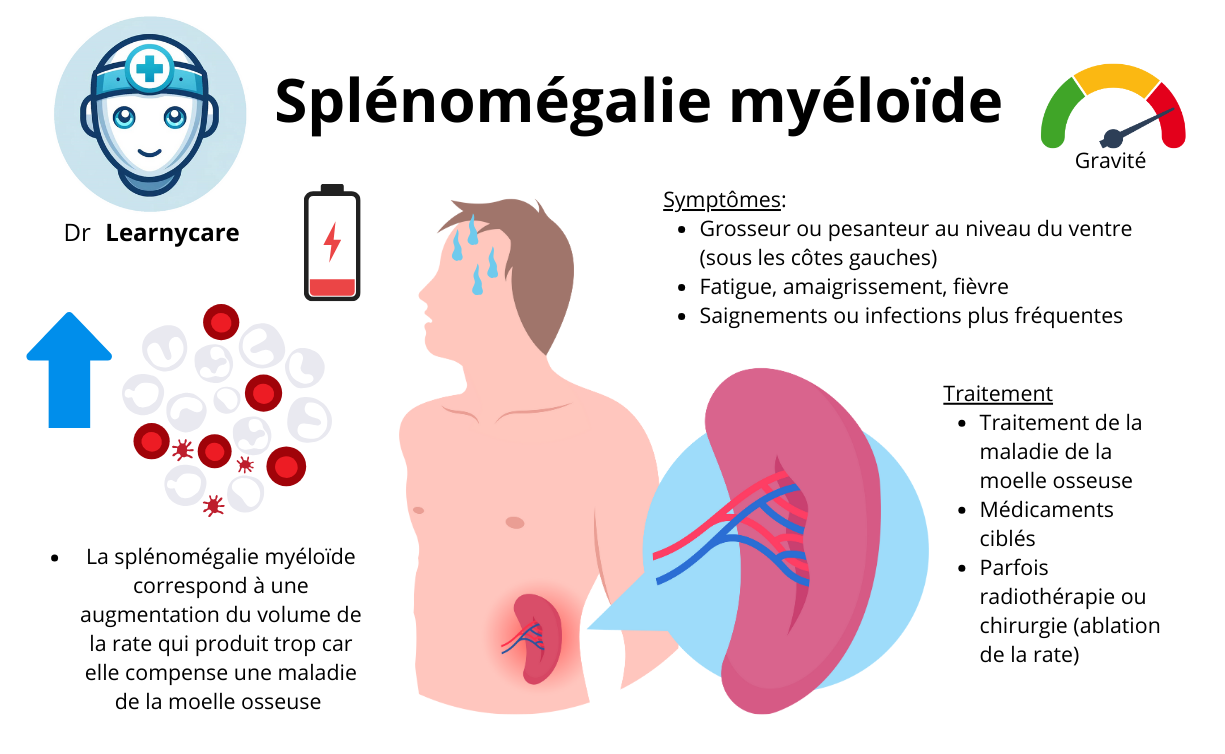 Splénomégalie myéloïde infographie Dr Learnycare