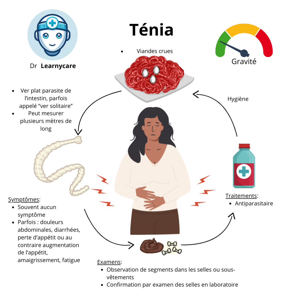 Ténia infographie Dr Learnycare