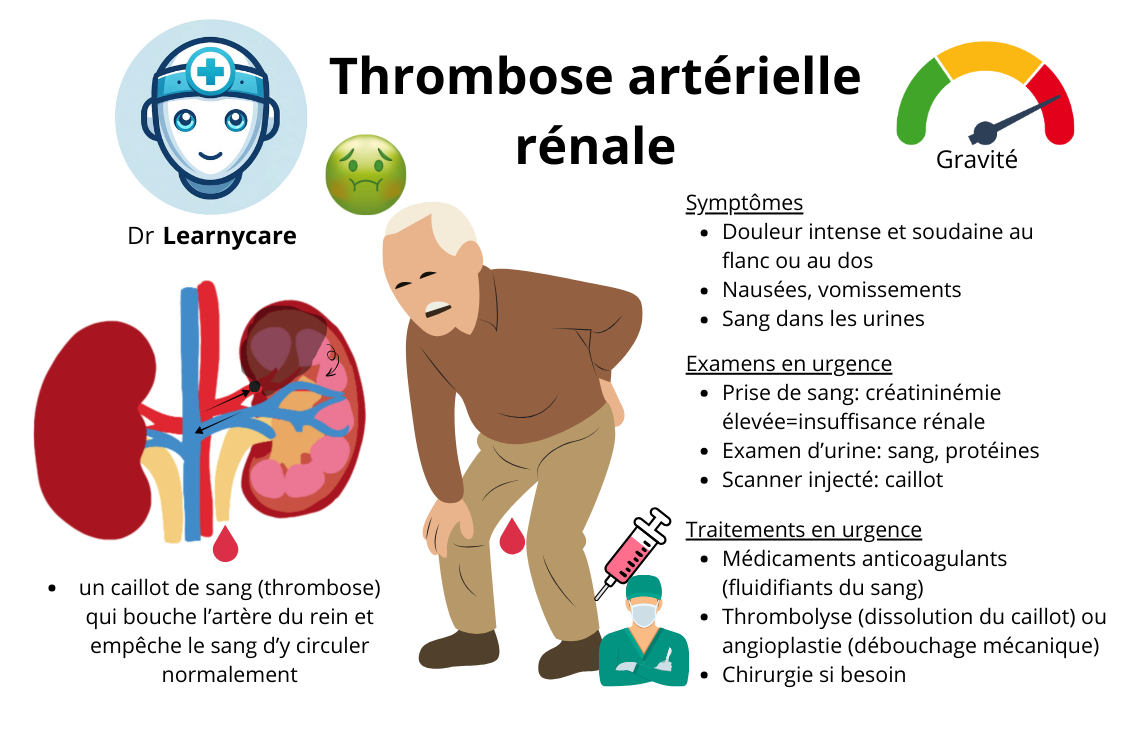 Thrombose artère rénale infographie Dr Learnycare