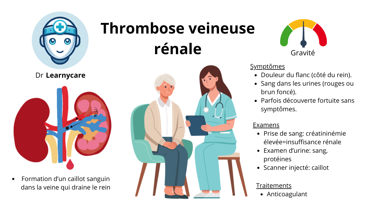 Thrombose veineuse rénale infographie Dr Learnycare