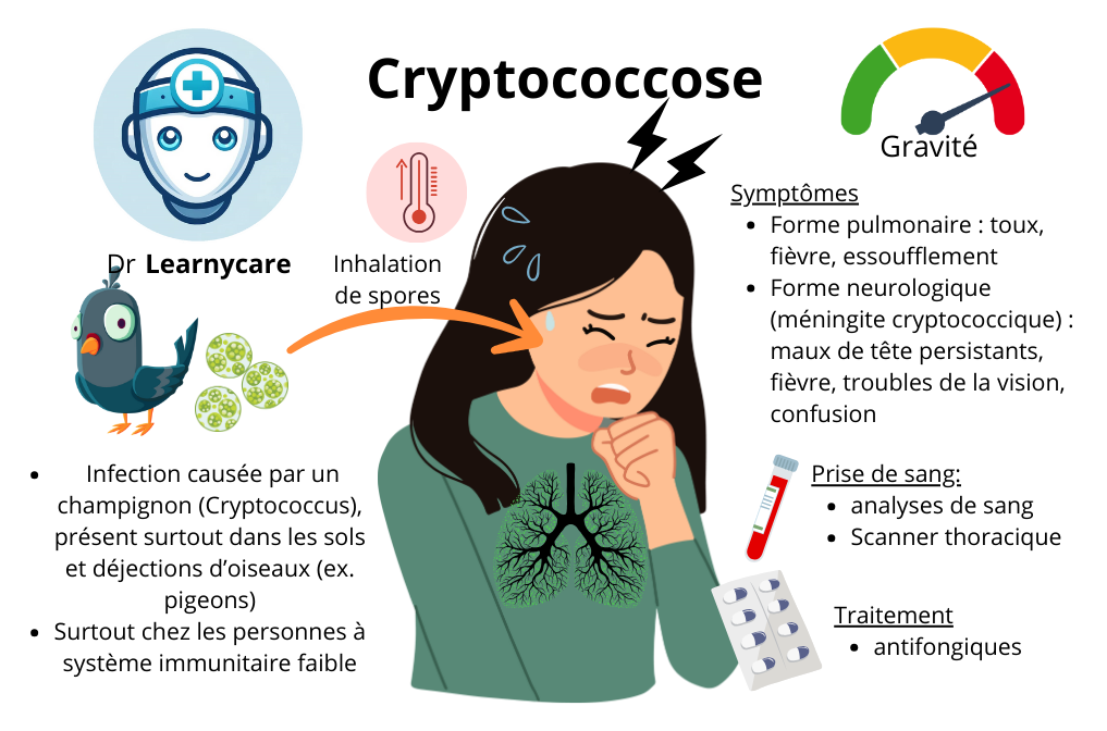 Cryptococcose infographie Dr Learnycare