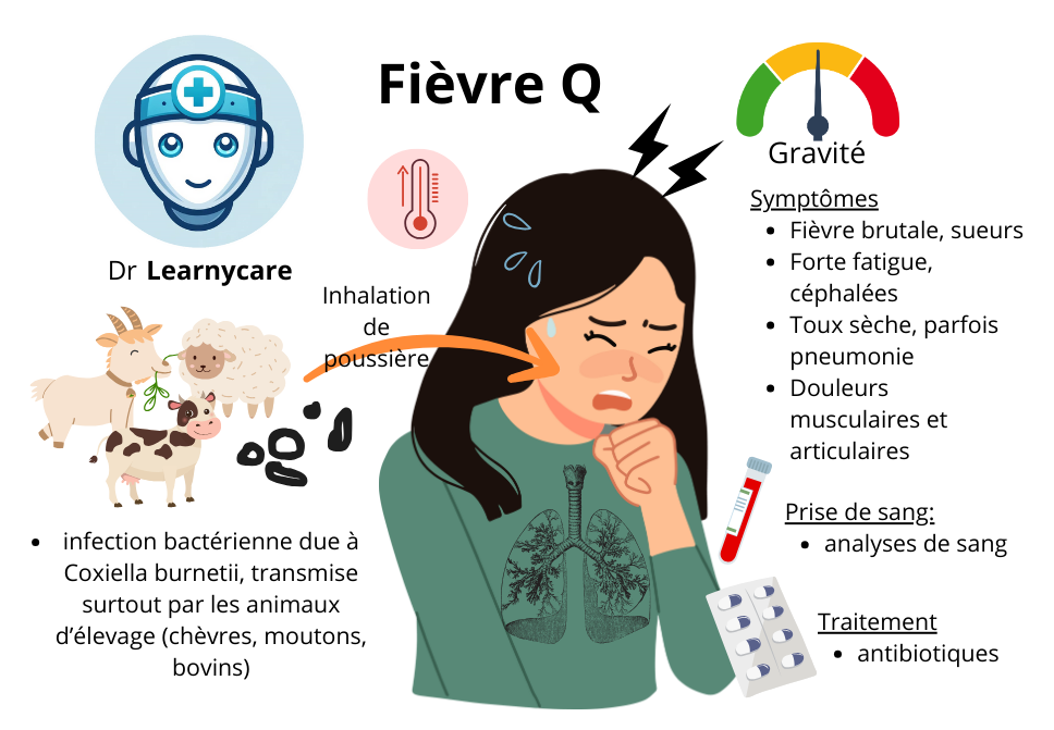 Fièvre Q infographie Dr Learnycare